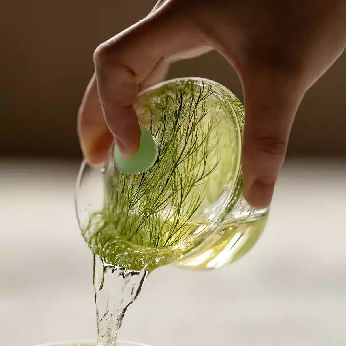 Hand-Painted Borosilicate Glass Gaiwan